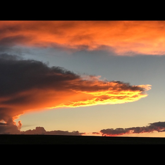 Meet your Posher, Randa - Picture 4 of 4